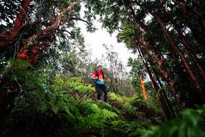 BIB: 
                            <button type="button" onclick="openModal(26202992)" class="btn btn-primary btn-sm float-right btn-popup" data-toggle="modal" data-target=".modal-high-quality">
                        <i class="fas fa-shopping-cart"></i> Add to Cart
                    </button>
                                            <button type="button" onclick="isThisMe(26202992, true)" class="btn btn-success btn-sm float-right btn-popup btn-isme hidden" data-toggle="tooltip" data-placement="bottom" title="นี่คือรูปของคุณใช่ไหม คลิกที่นี่เพื่อเอาเข้าอัลบั้ม">
                        <i class="fas fa-plus"></i> Add to album
                    </button>
                    <button type="button" onclick="isThisMe(26202992, false)" class="btn btn-warning btn-sm float-right btn-popup btn-isnotme hidden">
                        <i class="fas fa-ban"></i> Remove from album
                    </button>